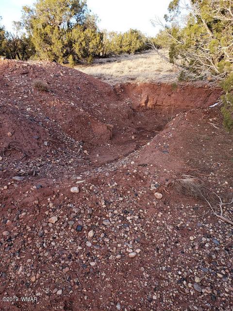 4423 Stirrup Rd, Snowflake, AZ 85937 photo 41