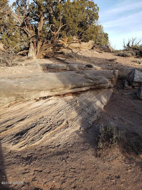 4423 Stirrup Rd, Snowflake, AZ 85937 photo 27