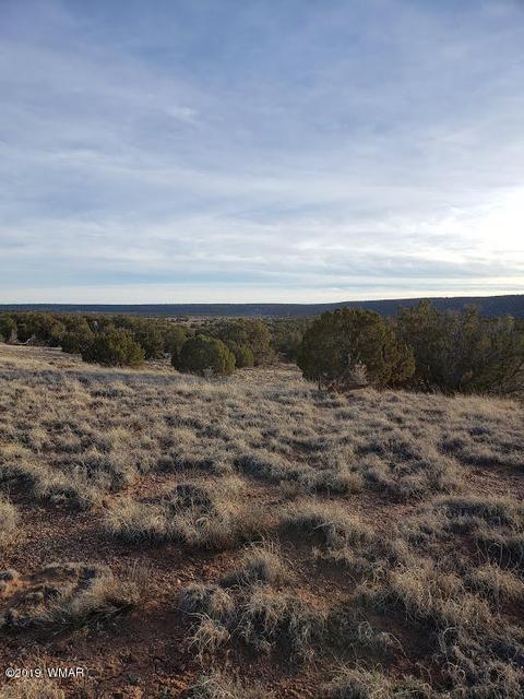 4423 Stirrup Rd, Snowflake, AZ 85937 photo 15