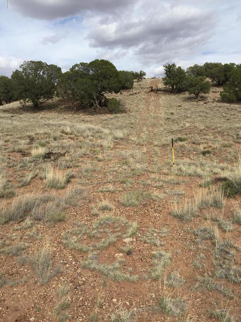4423 Stirrup Rd, Snowflake, AZ 85937 photo 38