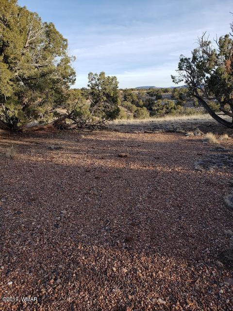 4423 Stirrup Rd, Snowflake, AZ 85937 photo 3