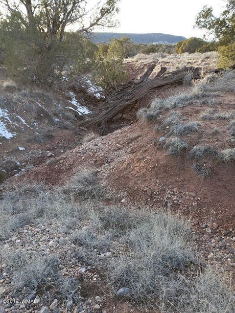 4423 Stirrup Rd, Snowflake, AZ 85937 photo 21