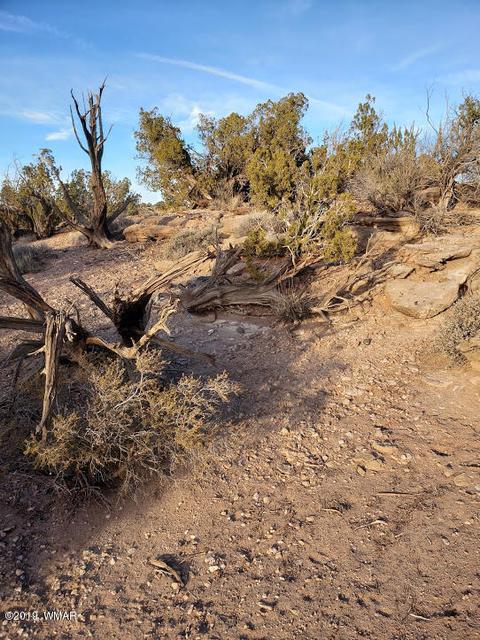 4423 Stirrup Rd, Snowflake, AZ 85937 photo 26