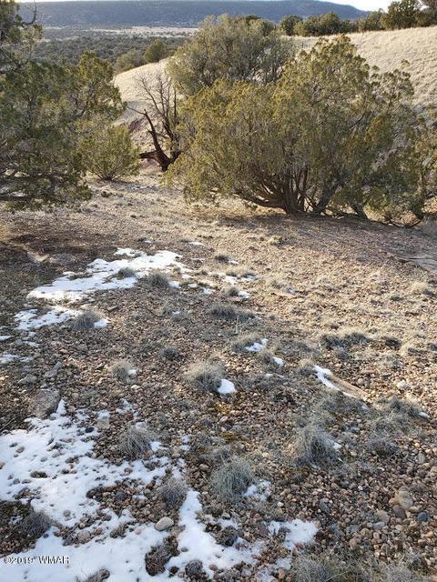 4423 Stirrup Rd, Snowflake, AZ 85937 photo 4