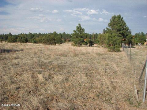 2743 Pine Meadows Dr, Overgaard, AZ 85933 photo 4