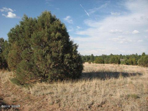 2743 Pine Meadows Dr, Overgaard, AZ 85933 photo 3