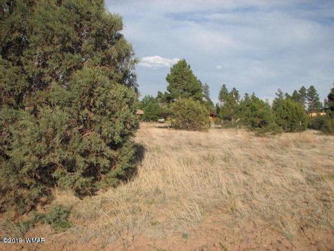 2743 Pine Meadows Dr, Overgaard, AZ 85933 photo 1