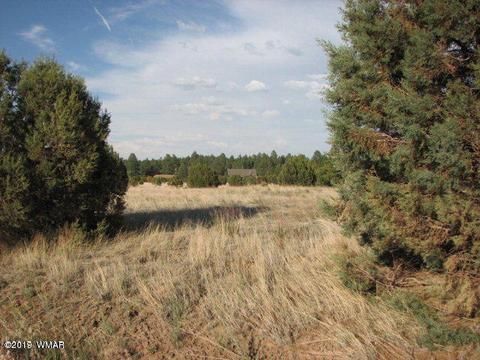2743 Pine Meadows Dr, Overgaard, AZ 85933 photo 2
