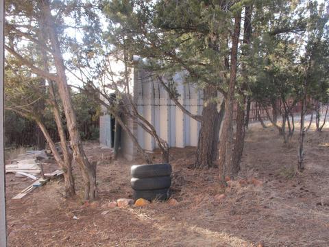 2177 Gingerbread Trl, Overgaard, AZ 85933 photo 5