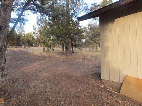 2177 Gingerbread Trl, Overgaard, AZ 85933 photo 10