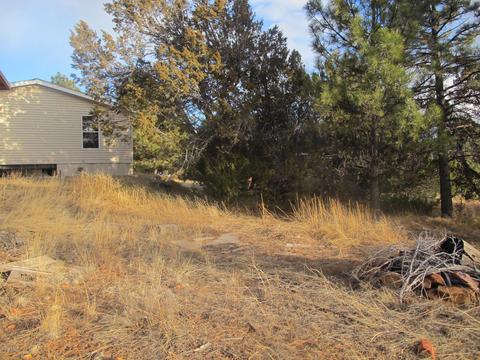 2177 Gingerbread Trl, Overgaard, AZ 85933 photo 2