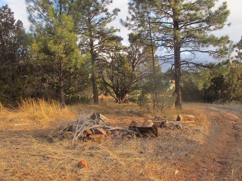2177 Gingerbread Trl, Overgaard, AZ 85933 photo 1