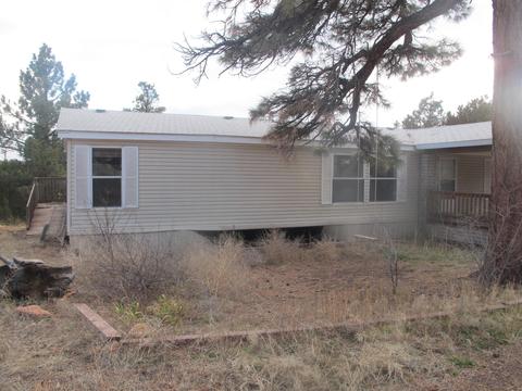 2177 Gingerbread Trl, Overgaard, AZ 85933 photo 11