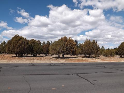 2791 Constellation Ln, Overgaard, AZ 85933 photo 9