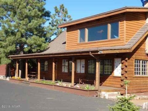 2791 Constellation Ln, Overgaard, AZ 85933 photo 13