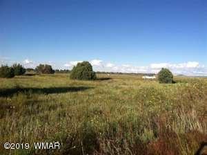 0000 N Commerce Drive And 16th St, Show Low, AZ 85901