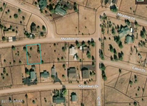 2243 Meadow Ln, Overgaard, AZ 85933 photo 6