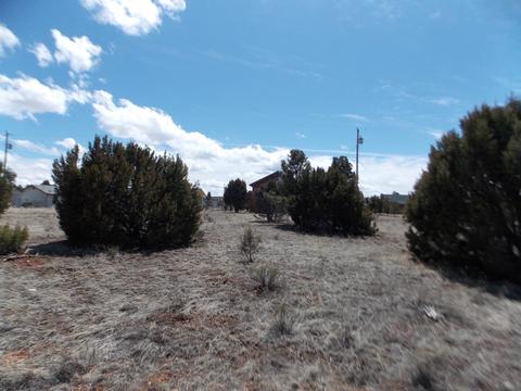 2243 Meadow Ln, Overgaard, AZ 85933 photo 3