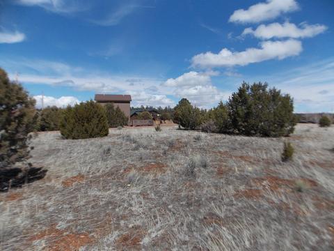 2243 Meadow Ln, Overgaard, AZ 85933 photo 4