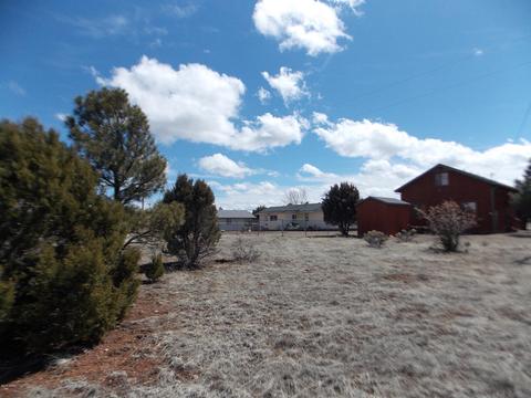 2243 Meadow Ln, Overgaard, AZ 85933 photo 1