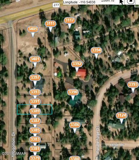 3391 Mogollon Dr, Overgaard, AZ 85933 photo 6