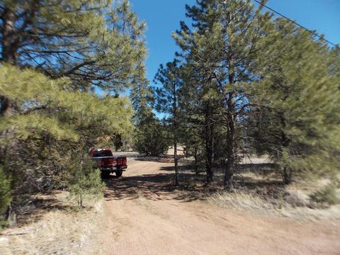 3391 Mogollon Dr, Overgaard, AZ 85933 photo 2