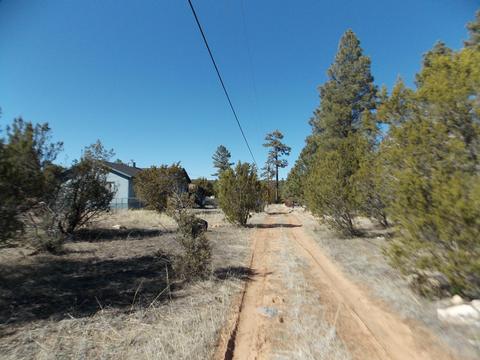 3391 Mogollon Dr, Overgaard, AZ 85933 photo 4