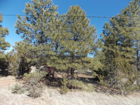 3391 Mogollon Dr, Overgaard, AZ 85933 photo 1