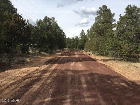 2883 Verde Rd, Overgaard, AZ 85933 photo 31