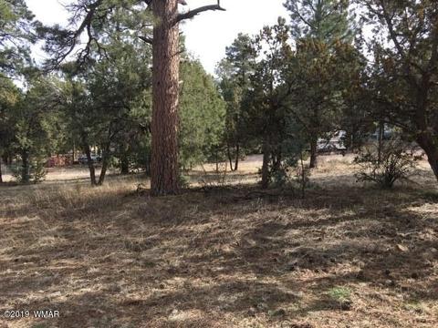 2883 Verde Rd, Overgaard, AZ 85933 photo 27
