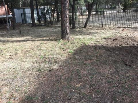 2883 Verde Rd, Overgaard, AZ 85933 photo 26