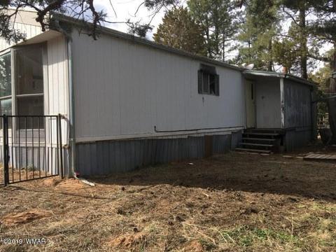 2883 Verde Rd, Overgaard, AZ 85933 photo 6