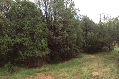 3467 Wildflower Dr, Overgaard, AZ 85933 photo 22