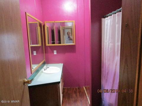 3572 Pine Rim Dr, Overgaard, AZ 85933 photo 26