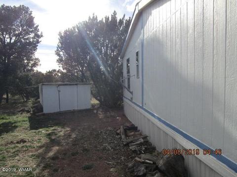 3572 Pine Rim Dr, Overgaard, AZ 85933 photo 35