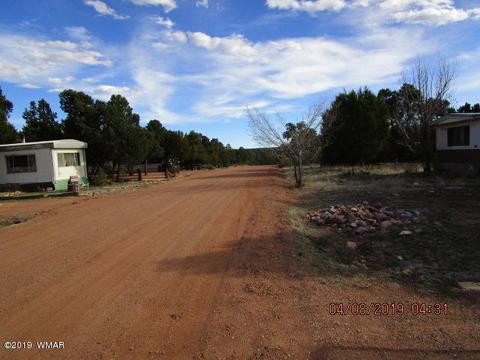 3572 Pine Rim Dr, Overgaard, AZ 85933 photo 4