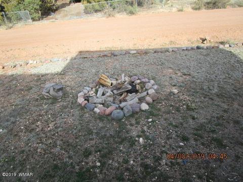 3572 Pine Rim Dr, Overgaard, AZ 85933 photo 33
