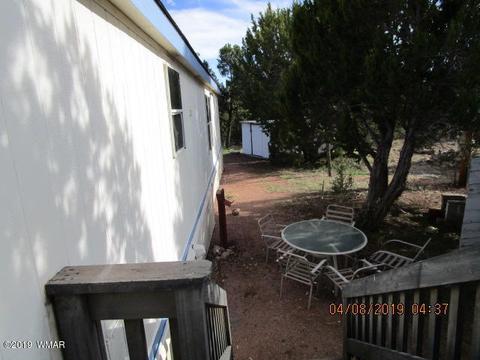 3572 Pine Rim Dr, Overgaard, AZ 85933 photo 18