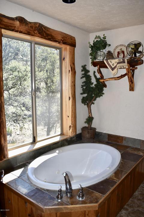 2000 Snowline Rd, Eagar, AZ 85925 photo 30