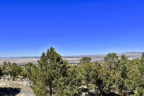 2000 Snowline Rd, Eagar, AZ 85925 photo 37