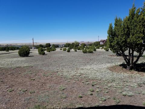 1467 W 8th St, Eagar, AZ 85925 photo 3