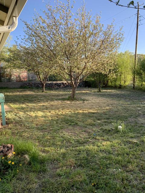 272 S Brown St, Eagar, AZ 85925 photo 8