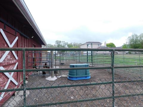 191 W 4th Ave, Eagar, AZ 85925 photo 56