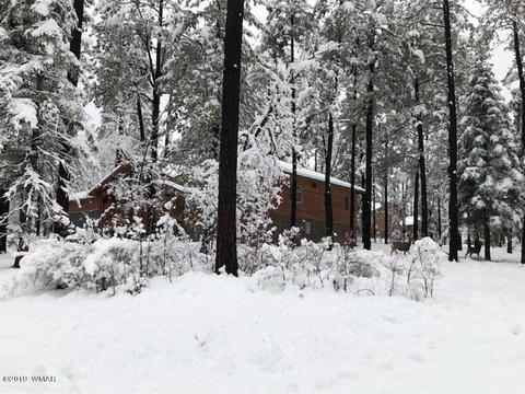 3 Cr 2190, Alpine, AZ 85920 photo 76