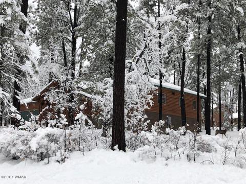 3 Cr 2190, Alpine, AZ 85920 photo 5