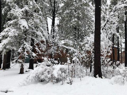 3 Cr 2190, Alpine, AZ 85920 photo 71