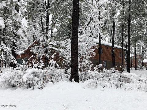 3 Cr 2190, Alpine, AZ 85920 photo 73
