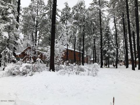 3 Cr 2190, Alpine, AZ 85920 photo 72