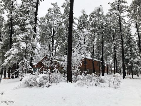 3 Cr 2190, Alpine, AZ 85920 photo 75