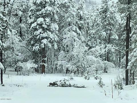 3 Cr 2190, Alpine, AZ 85920 photo 69